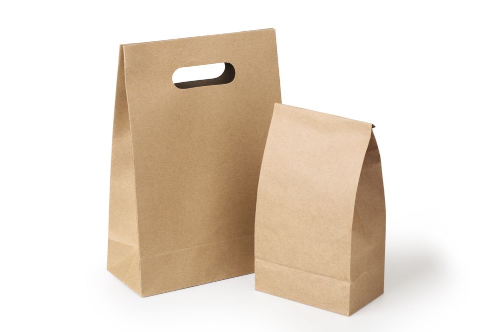 Paper Bag Manufacturer